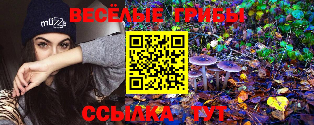 Галлюциногенные грибы прущие грибы Люберцы